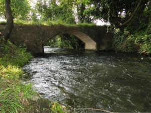 Pedrengo Roggia Borgogna Ristorante La Pelosetta